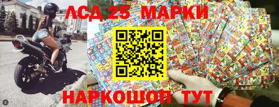 гидропоника Заволжье