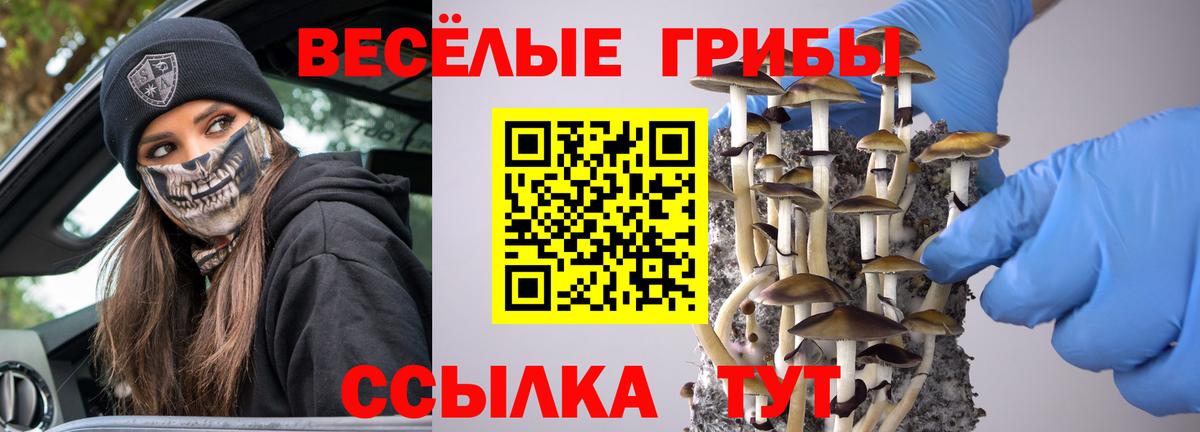 Псилоцибиновые грибы MAGIC MUSHROOMS Лысьва